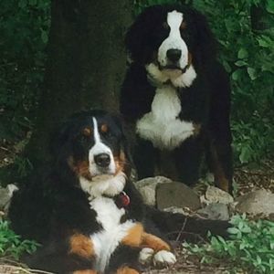 Meet your Posher, Tom